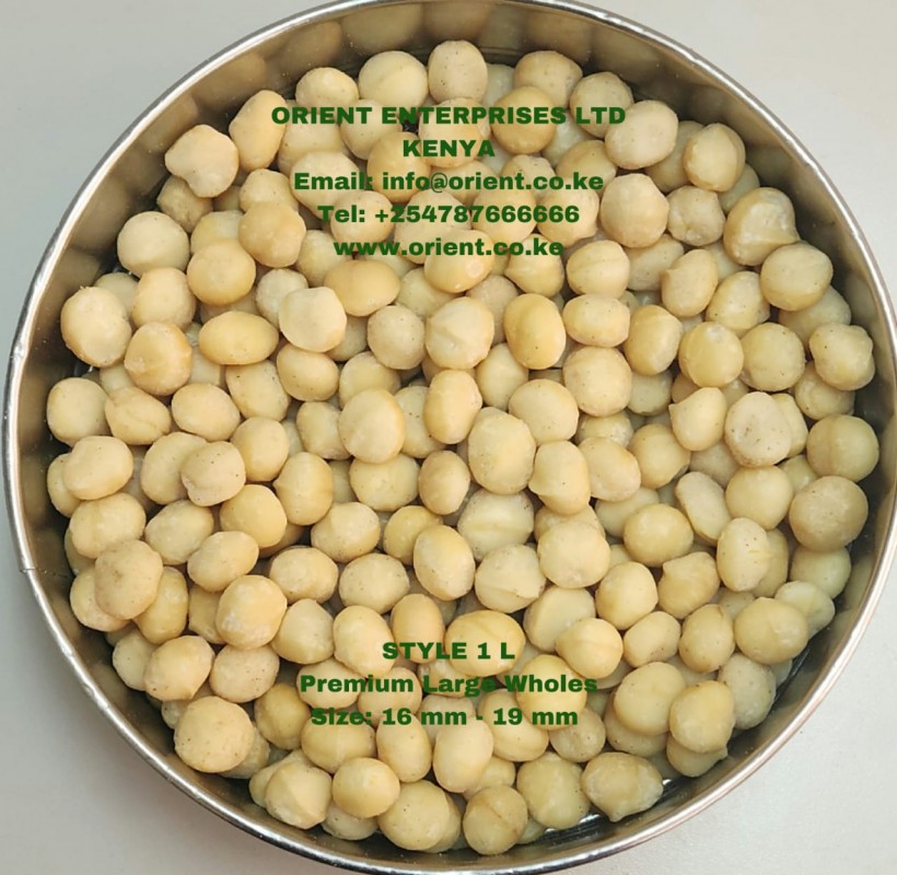 Macadamia Kernel Style 1L(Size 17mm-19mm) from Kenya